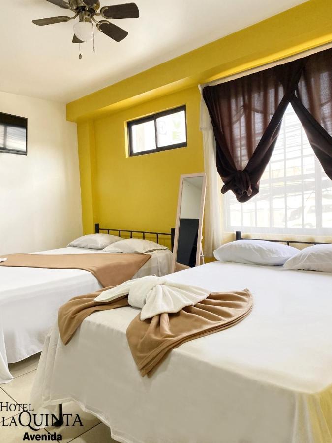 Hotel Quinta Avenida Σαν Χοσέ Εξωτερικό φωτογραφία